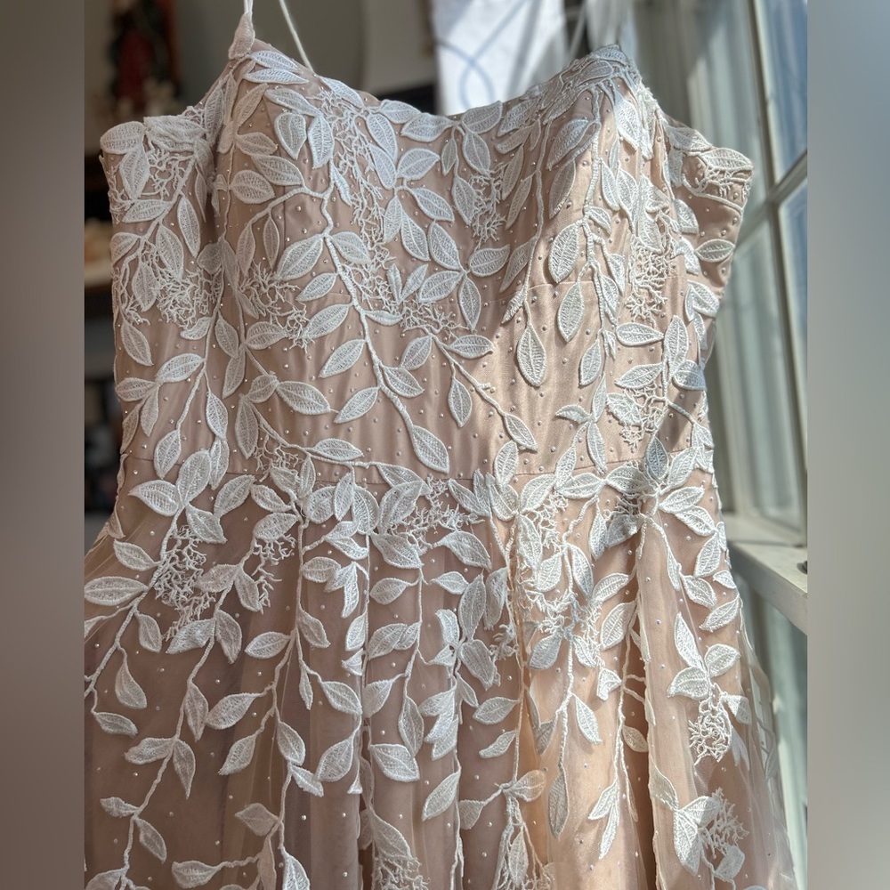 Brand New, Never Worn, Azaria Gown